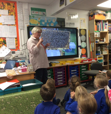 Laura giving a bee presentation to schoolchildren
